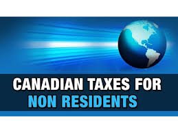 Part-time CFO and controller services for businesses, Tax Planning & Corporate Reorganization Services